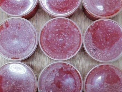 Имитированную икру под видом настоящей продавали в Якутске