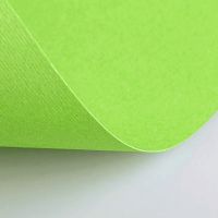 Бумага для пастели Fabriano "Cartacrea" 50x70 см 220 г, зеленый горох