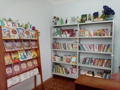 Приозерская сельская библиотека