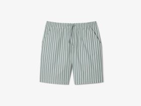 Мужские шорты Lacoste из хлопка