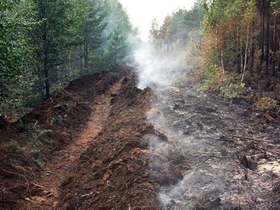 В Якутии минерализованные полосы для борьбы с пожарами прокладывают взрывами