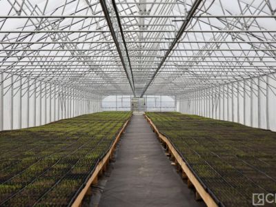 Крупнейший в Якутии лесопитомник открыли в селе Табага