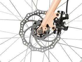 Детский велосипед Foxx Jasmine 20 Disc, год 2026, цвет Коричневый