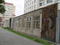 Библиотека № 15 им. Ш. Бабича г. Челябинска