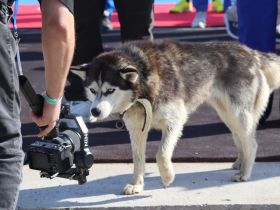 В Вилюйском районе стартовала Спартакиада, посвященная Дню работника газовой промышленности
