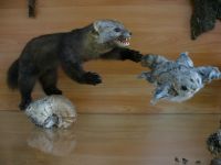 Первомайский районный краеведческий музей