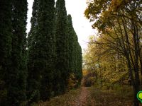 Парк Победы