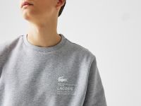 Мужской свитшот Lacoste стандартного кроя