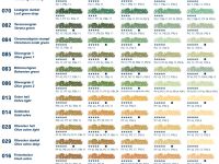 Пастель сухая мягкая Schmincke №072 зеленый лиственный, оттенок D