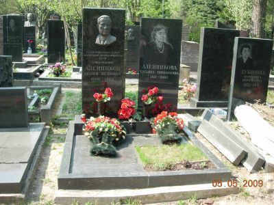 Могила - Алейников Сергей Петрович (1909-1983), Герой Советского Союза