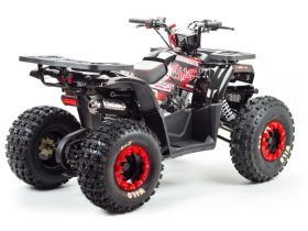 Квадроцикл MOTOLAND Wild 150