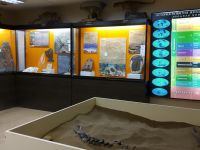 Котельничский палеонтологический музей