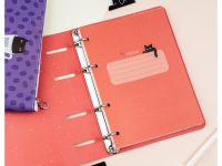 Тетрадь на кольцах MESHU "Amazing cats" А5 100 л, картон, матовая ламинация, выборочный УФ-лак