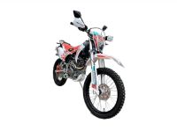 Мотоцикл MOTORHEAD G250 ENDURO
