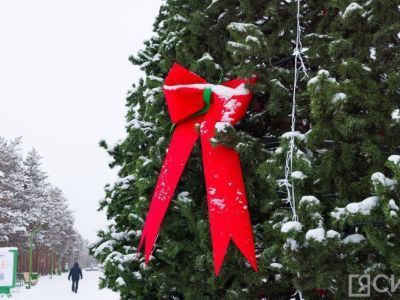 Спрос на новогодний декор на Дальнем Востоке вырос вдвое