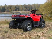 Квадроцикл IRBIS ATV 250