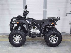 Квадроцикл GRIZZLY 200