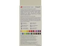 Набор акварел карандашей Сонет Цвет.вдохновение 24цв