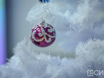 В Якутске объявили конкурс на лучшее новогоднее оформление среди предприятий и организаций