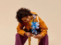 Harry Potter 76461 Конструктор Корнуэльская пикси