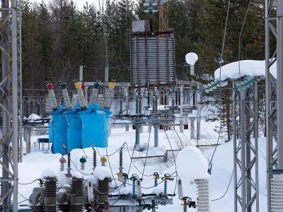 Лесной зверёк стал причиной технологического нарушения на подстанции в Якутии