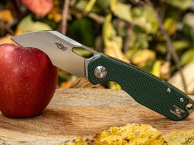 Нож складной Firebird by Ganzo FH924-GB, сталь D2, рукоять G10, зеленый