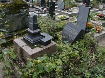 Могила Романовского Г.Д. (1831-1906), геолога