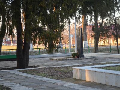 Могила Е.Ф. Степановой (1874 - 1969), матери 9 сыновей, погибших в годы гражданской, Великой Отечественной войн и в боях на озере Халхин-Гол