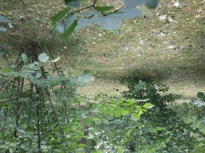 Фонтан (фундаменты)