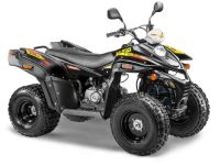 Квадроцикл СТЕЛС ATV 110A Hugo