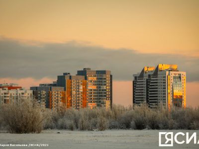 Взыскание долгов без суда, контроль за сим-картами, штрафы за ОСАГО: нововведения ноября 2025 года