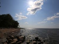 Парк культуры и отдыха «Дубки»