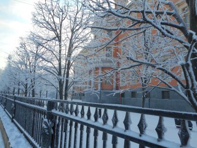 Ограда