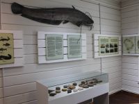 Музей «Кобона: Дорога жизни»