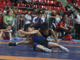 Открытый республиканский турнир Павла Пинигина собрал более 400 борцов