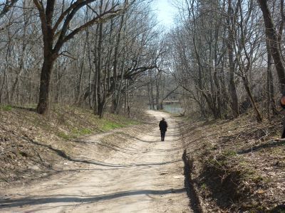 Парк, фруктовые сады и пруды