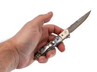 Складной нож Витязь B5299D, сталь дамаск, рукоять огстекло с перламутром, художественное травление