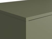 Распашной шкаф Торвалль 3-118x185 Оливковый
