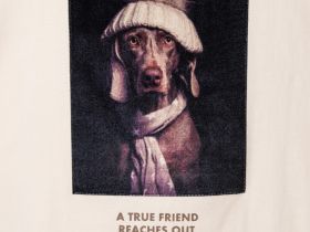 Фуфайка трикотажная для девочек (футболка)