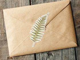 Стикеры Дворникова А. "Папоротники и грибы"