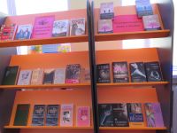 Дедовичская поселковая библиотека