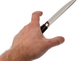 Нож Финка Титан разборная, сталь 95Х18, граб