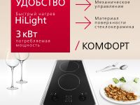 Электрическая панель Hansa BHCI35133030