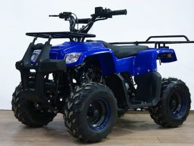 Квадроцикл YACOTA Smarty 110