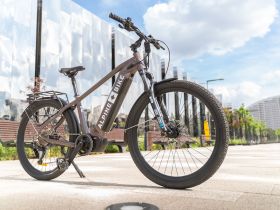 Электровелосипед Alpine Bike Dammastock, год 2025, цвет Коричневый, ростовка 20