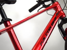 Детский велосипед Falcon Bike River 20, год 2024, цвет Черный