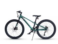 Подростковый велосипед Maxiscoo 7 Bike 24 M500, год 2024, цвет Зеленый