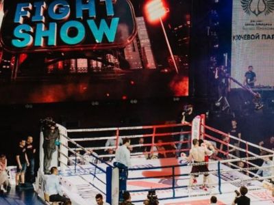 Профессиональный бокс. Бои за будущее II