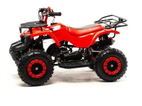 Квадроцикл MOTOLAND 50 Scorpion (2021 Г.)