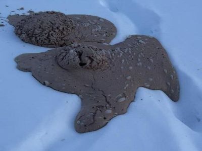 В Якутии оленевод обнаружил загадочную субстанцию, выходящую из-под земли